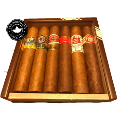 Habanos Seleccion Robusto - Onlineshop Urs Portmann Tabakwaren AG