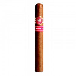 H. Upmann Magnum 50 einzelne Zigarre