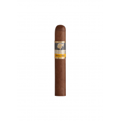 Cohiba Siglo 1 Tubos einzelne Zigarre