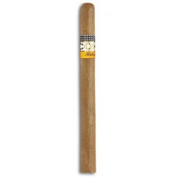 Cohiba Panetelas BN - Onlineshop Urs Portmann Tabakwaren AG