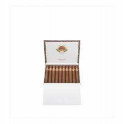 Die Ramon Allones No. 3 im Onlineshop Urs Portmann Tabakwaren kaufen