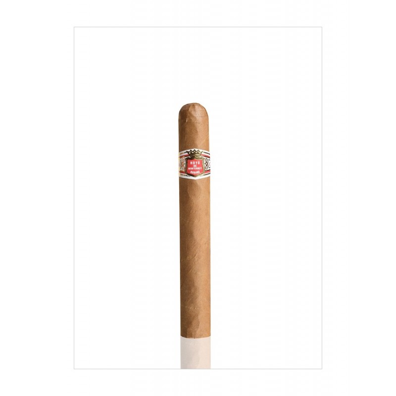 Hoyo de MOnterrey Souvenir de Luxe im Onlineshop Urs Portmann kaufen