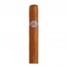 Montecristo No.5 einzelne Zigarre