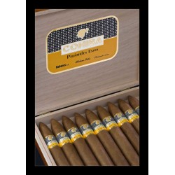 Cohiba Piramides Extra Kiste