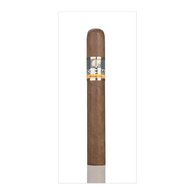 Cohiba Siglo 4