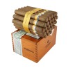 Cohiba Siglo 4 Kiste