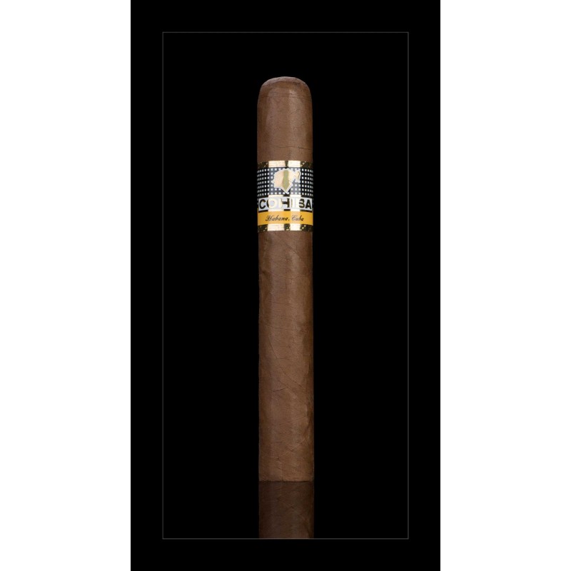 Cohiba Siglo 5 einzelne Zigarre