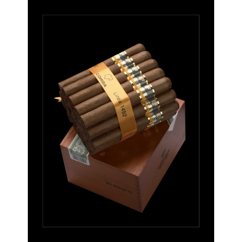 Cohiba Siglo 6 Kiste