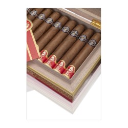 Montecristo Brillantes Chinese Year 2023