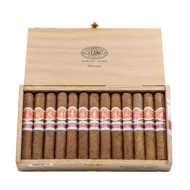 La Flor de Cano Siboney ER Canada 2014