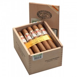 Hoyo de Monterrey Epicure No.1 Kiste