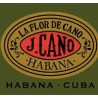 Flor de Cano